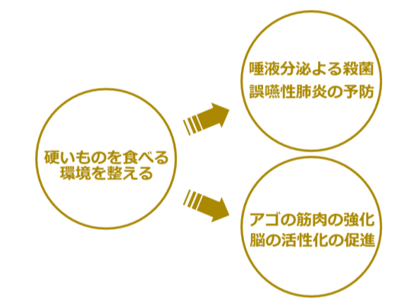 正しい食事(唾液と噛むこと)