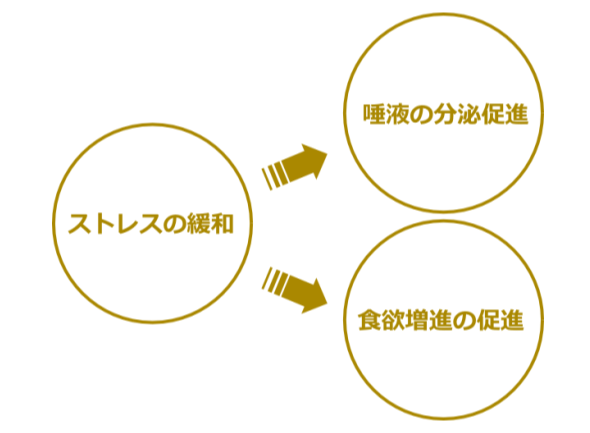 生活習慣の改善と食欲