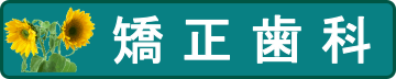 矯正歯科